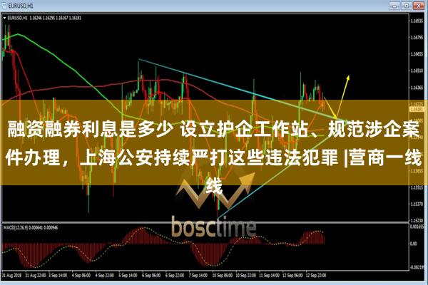 融资融券利息是多少 设立护企工作站、规范涉企案件办理，上海公安持续严打这些违法犯罪 |营商一线