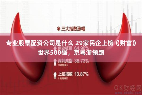 专业股票配资公司是什么 29家民企上榜《财富》世界500强，京粤浙领跑