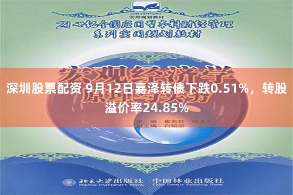 深圳股票配资 9月12日嘉泽转债下跌0.51%，转股溢价率24.85%