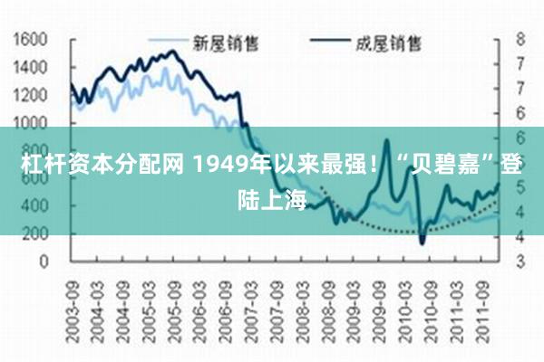 杠杆资本分配网 1949年以来最强！“贝碧嘉”登陆上海