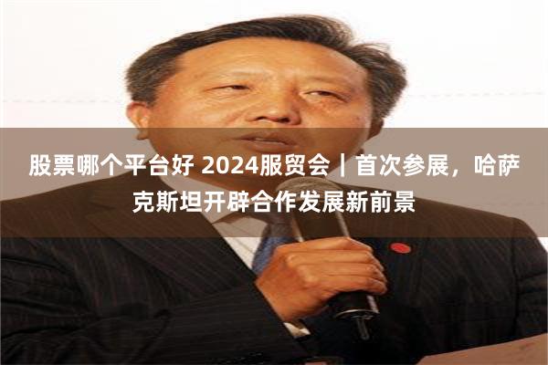 股票哪个平台好 2024服贸会｜首次参展，哈萨克斯坦开辟合作发展新前景