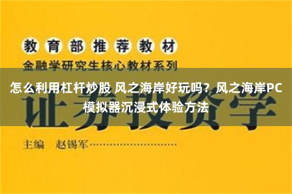 怎么利用杠杆炒股 风之海岸好玩吗？风之海岸PC模拟器沉浸式体验方法