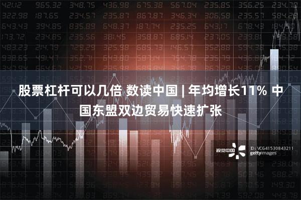 股票杠杆可以几倍 数读中国 | 年均增长11% 中国东盟双边贸易快速扩张