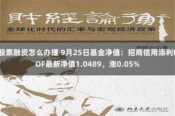 股票融资怎么办理 9月25日基金净值：招商信用添利LOF最新净值1.0489，涨0.05%