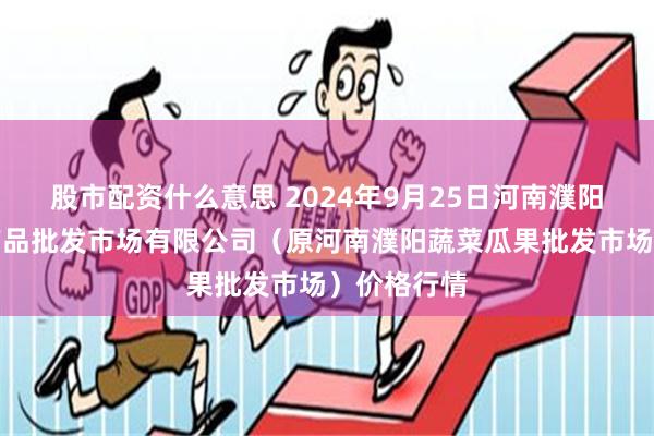 股市配资什么意思 2024年9月25日河南濮阳宏进农副产品批发市场有限公司（原河南濮阳蔬菜瓜果批发市场）价格行情