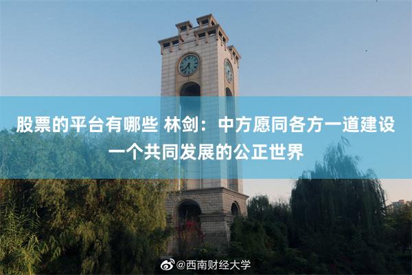 股票的平台有哪些 林剑：中方愿同各方一道建设一个共同发展的公正世界