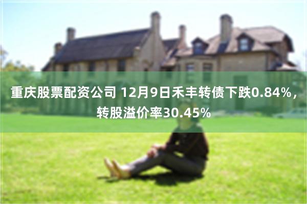 重庆股票配资公司 12月9日禾丰转债下跌0.84%，转股溢价率30.45%