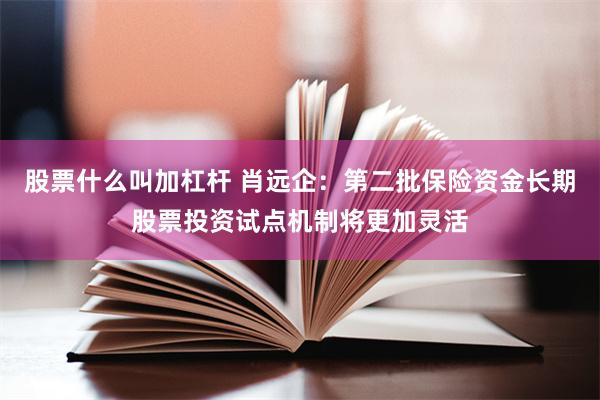 股票什么叫加杠杆 肖远企：第二批保险资金长期股票投资试点机制将更加灵活