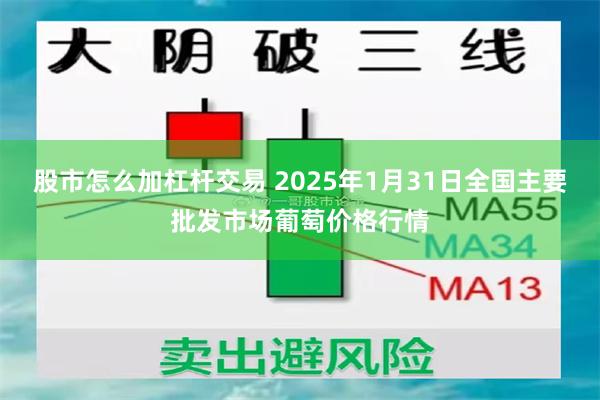 股市怎么加杠杆交易 2025年1月31日全国主要批发市场葡萄价格行情