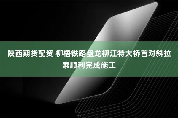 陕西期货配资 柳梧铁路盘龙柳江特大桥首对斜拉索顺利完成施工