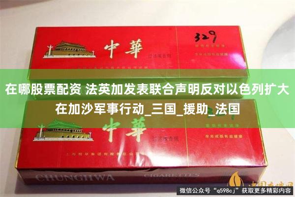 在哪股票配资 法英加发表联合声明反对以色列扩大在加沙军事行动_三国_援助_法国